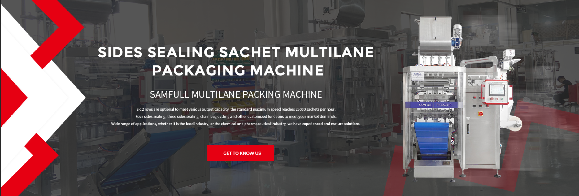 Sides Sealing Sachet Multilane Packaging Machine