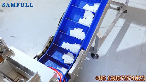 1g Probiotic Powder Sachet Making, Filling & Counting